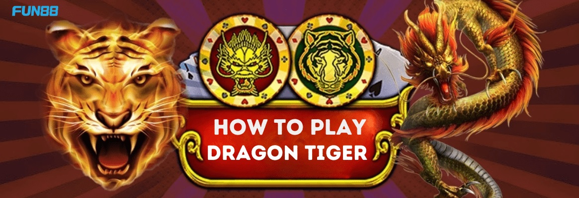 How to Play Dragon Tiger Live Casino Game Online on Fun88